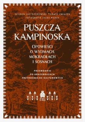 grafika